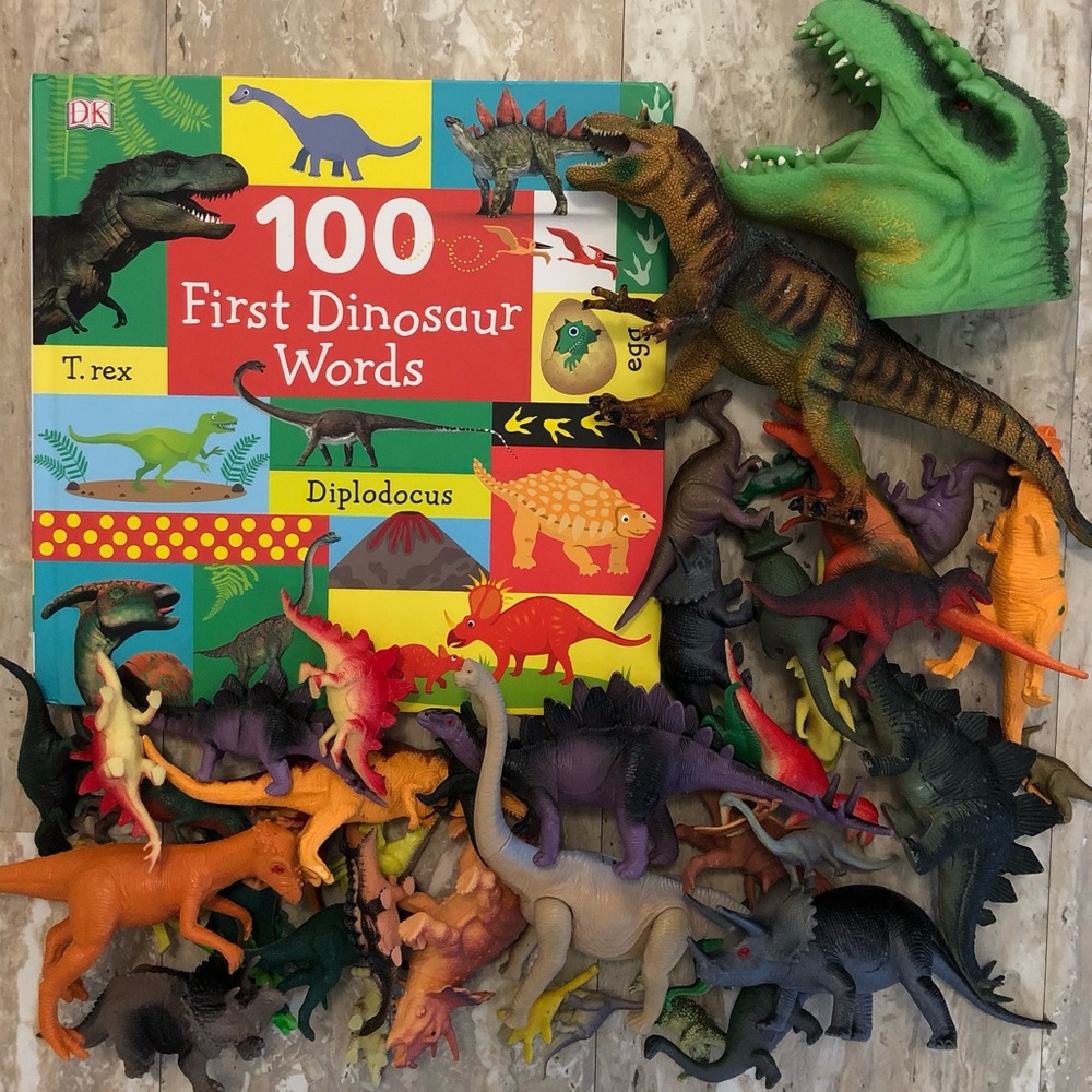 DK Book - “100 First Dinosaur Words” with 46 Plastic Dinosaurs of Various Sizes